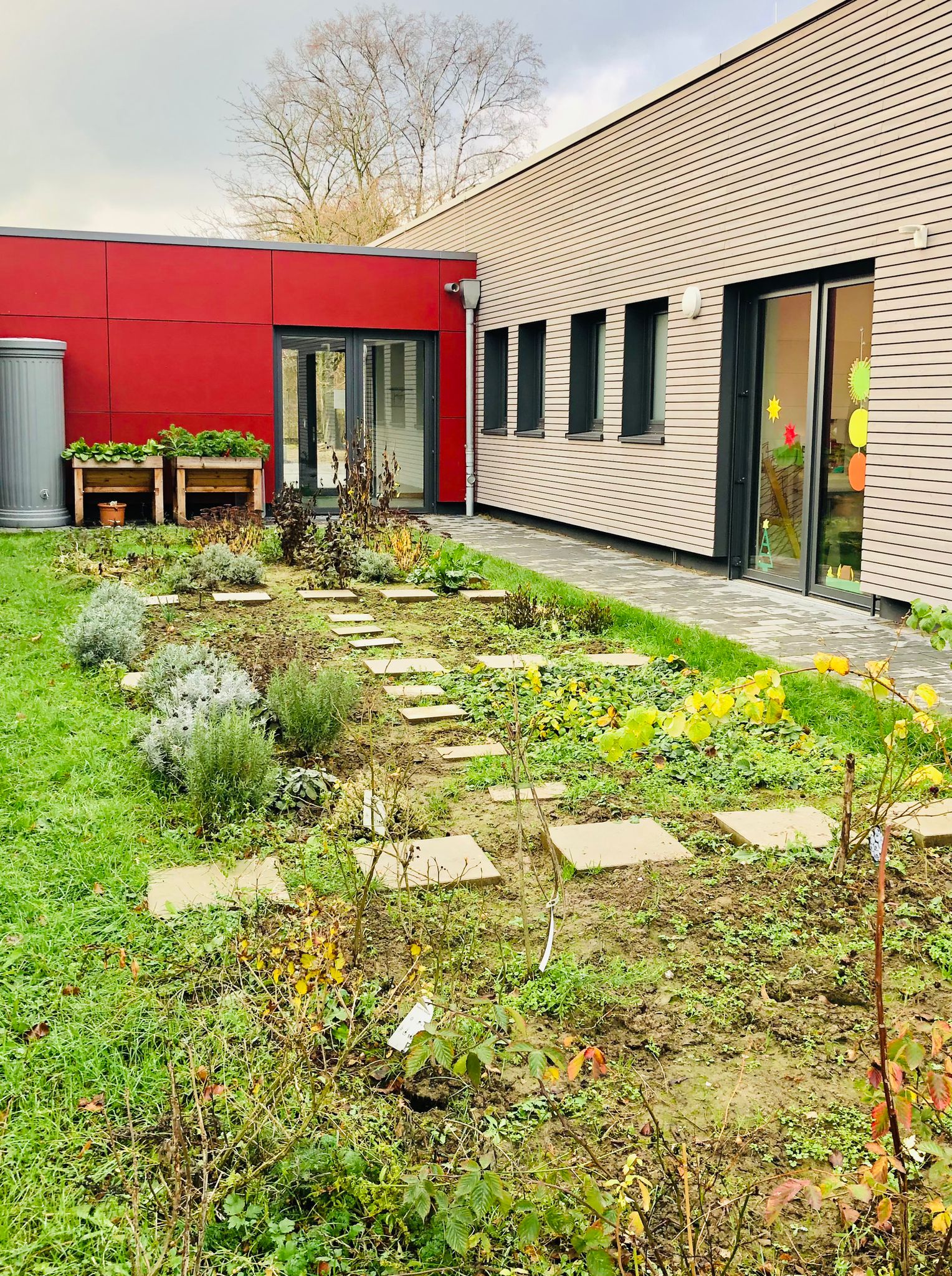 Unser Schulgarten
